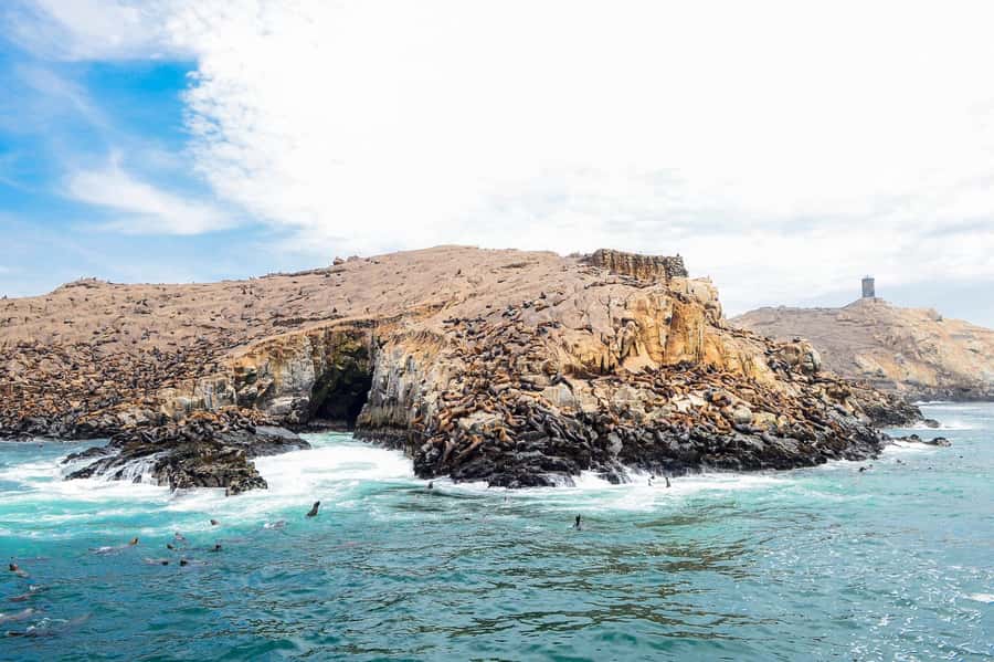 Lima | Islas Palomino Tour | Swim with Sea Lions - Who this tour suits best (and who may want a different plan)