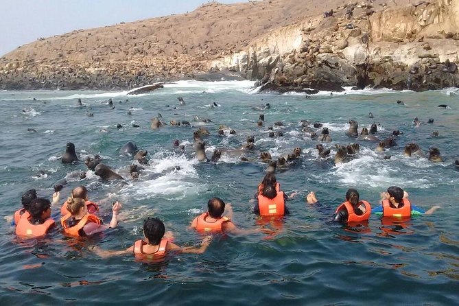 Lima: Palomino Islands Excursion & Swimming with Sea Lions with Hotel Transfers - Guides, Crew, and the Safety-First Feel