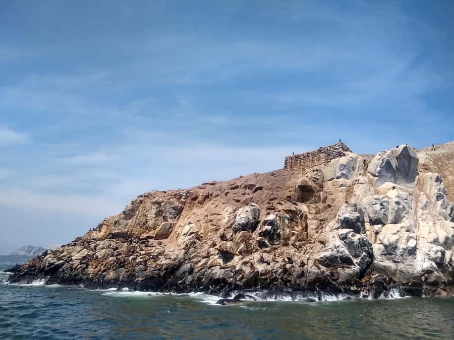 Lima: Palomino Islands Speedboat Tour & Swim with Sea Lions - A few tips that make the day smoother