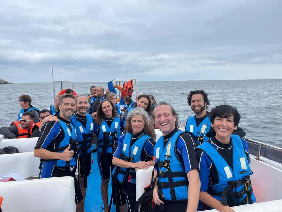 Lima: Palomino Islands Speedboat Tour & Swim with Sea Lions - Key points you should care about