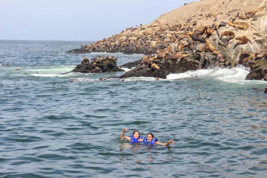 Lima: Palomino Islands Speedboat Tour & Swim with Sea Lions - Swimming with sea lions: what to expect when you’re in the water
