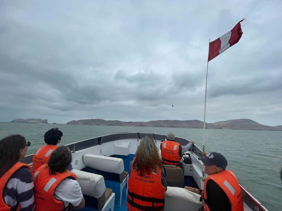 Lima: Palomino Islands Speedboat Tour & Swim with Sea Lions - Seabirds in the sky: more than sea lions