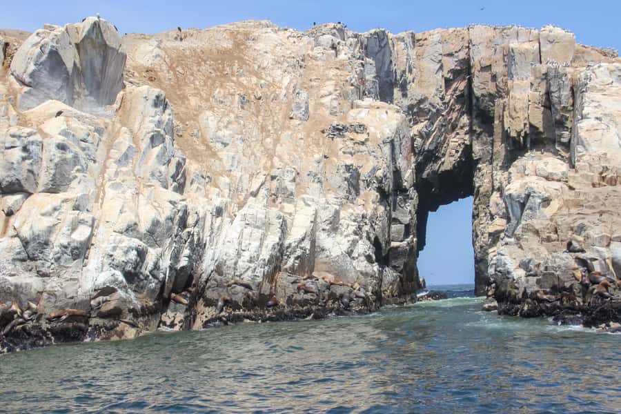 Lima: Palomino Islands Speedboat Tour & Swim with Sea Lions - Speedboat access from Lima: Callao Harbor to Palomino Islands