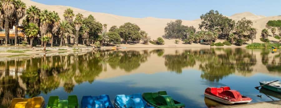 Lima: Paracas and the Huacachina Oasis Guided Day Tour - Value for Around $65: What You’re Paying For