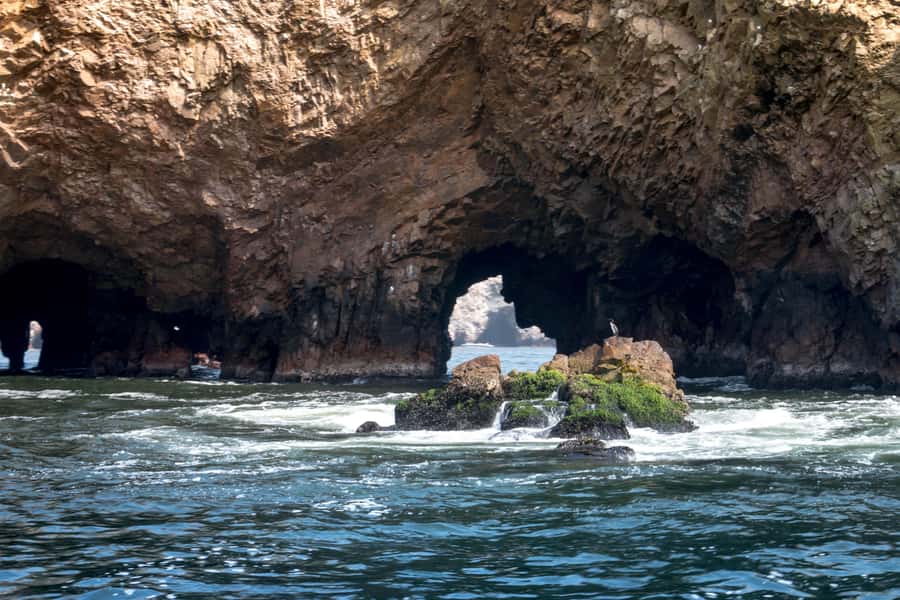 Lima: Paracas & Huacachina Oasis Day Trip with Wine & Dunes - FAQ