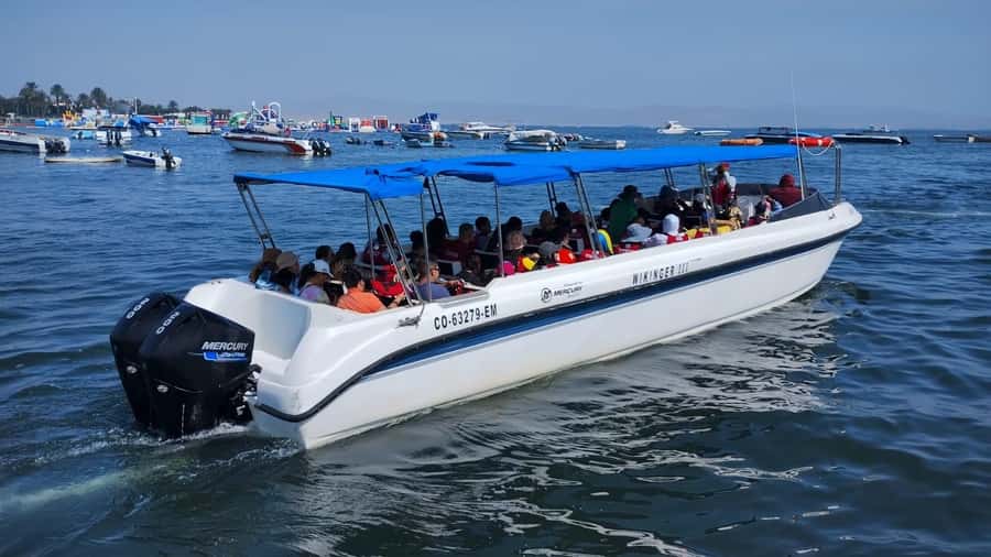 Lima: Paracas & Huacachina Oasis Day Trip with Wine & Dunes - Timing, comfort, and what to pack for a coast-to-desert day