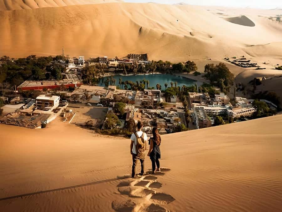 Lima: Paracas & Huacachina Oasis Day Trip with Wine & Dunes - Ica’s winery valley at CulturPisco: pisco, wine, and a real meal break