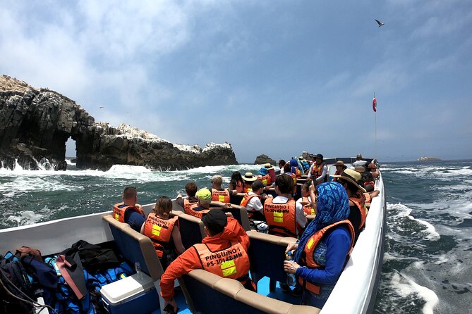 Lima Peru Sea Lions, History and Palomino Callao Islands - Guides, Captains, and How the Day Stays Organized