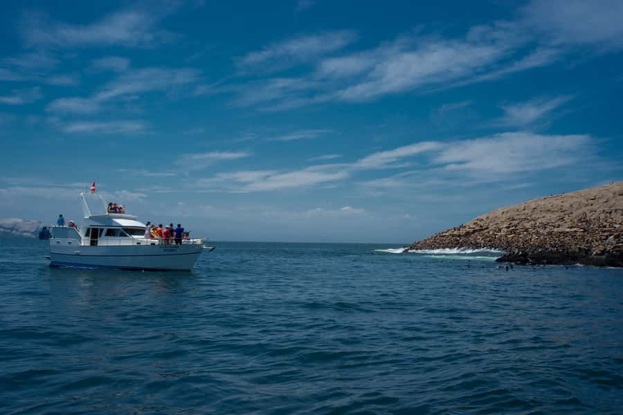 Lima: Sea Lion Swim and Wildlife Palomino Islands Cruise - The 4-hour itinerary: from Muelle Club Canottieri to San Lorenzo and back