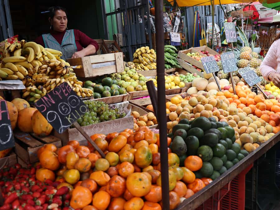 Lima: Villa El Salvador Shanty Town Tour - Key things you’ll notice on this Villa El Salvador tour