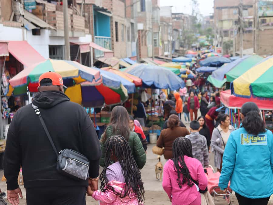 Lima: Villa El Salvador Shanty Town Tour - The panoramic payoff: Lima, Lurín Valley, and the Pacific