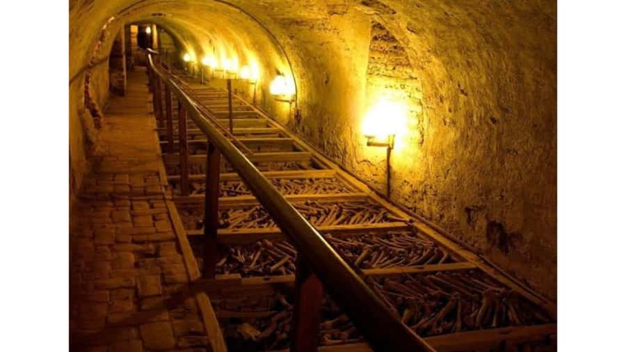 LIMA WALKING TOUR CATACOMBS FROM MIRAFLORES, HISTORICAL CENTER, WINES+BUS - Key Things You’ll Notice on This Lima Tour