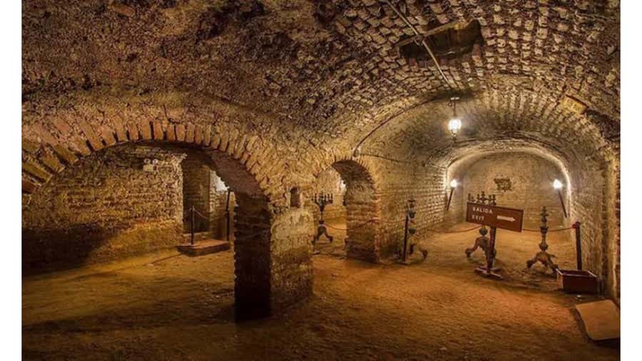 LIMA WALKING TOUR CATACOMBS FROM MIRAFLORES, HISTORICAL CENTER, WINES+BUS - Plaza Mayor Stops: Cathedral, Government Palace, and Municipal Palace