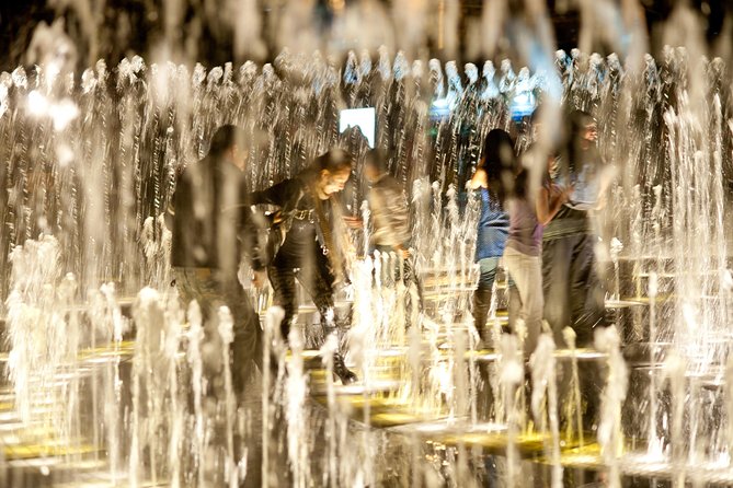 Magic Water Circuit with Dinner - Magic Water Circuit: the night fountain show you’ll talk about later
