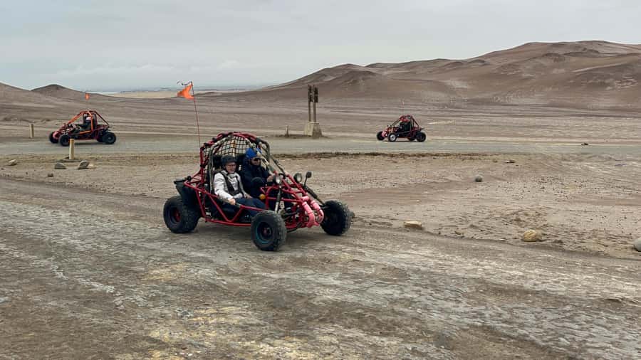 Mini Buggy GO KART in Paracas National Reserve - Mini Buggy Go-Kart in Paracas: What You’re Actually Signing Up For