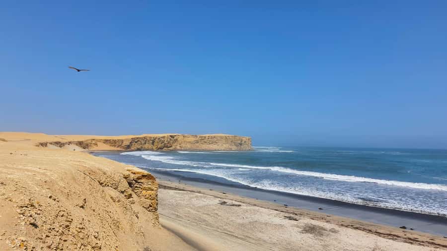 Mini Buggy GO KART in Paracas National Reserve - Upper Viewpoint: Where the Desert-Ocean Combo Really Clicks