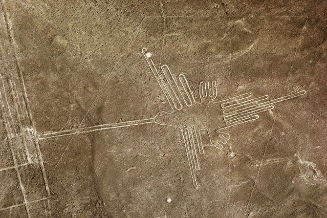 Nazca Lines & Ballestas Islands Private Tour Bus&Flight from Lima - Seat view is everything: your window plan for real photos