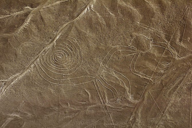 Nazca Lines & Ballestas Islands Private Tour Bus&Flight from Lima - Motion sickness, smells, and how to survive the day