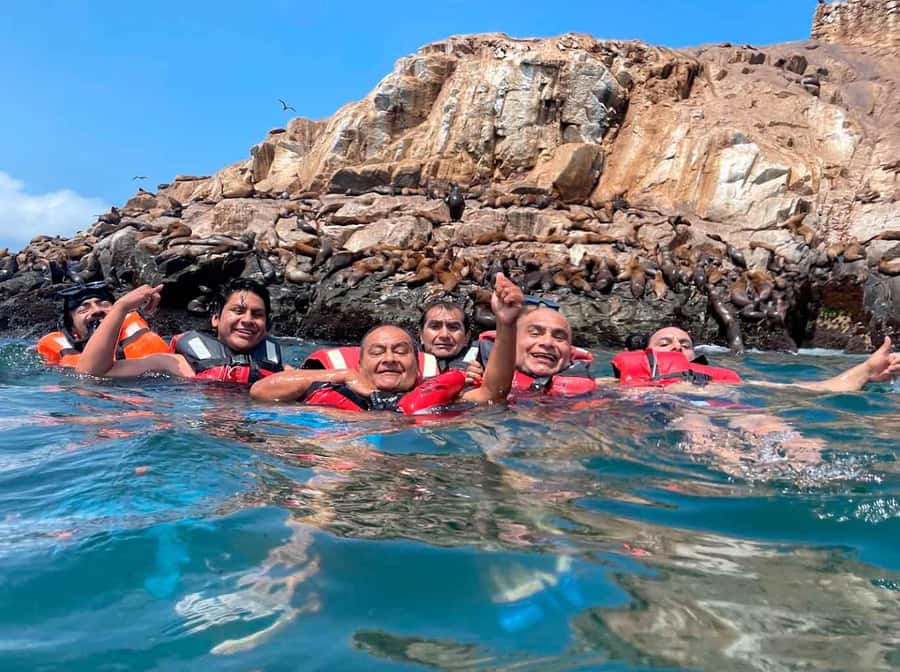 Palomino Islands Yacht Tour and swim alongside the sea lions - Palomino Islands: why this sea lion swim from Callao is worth your time