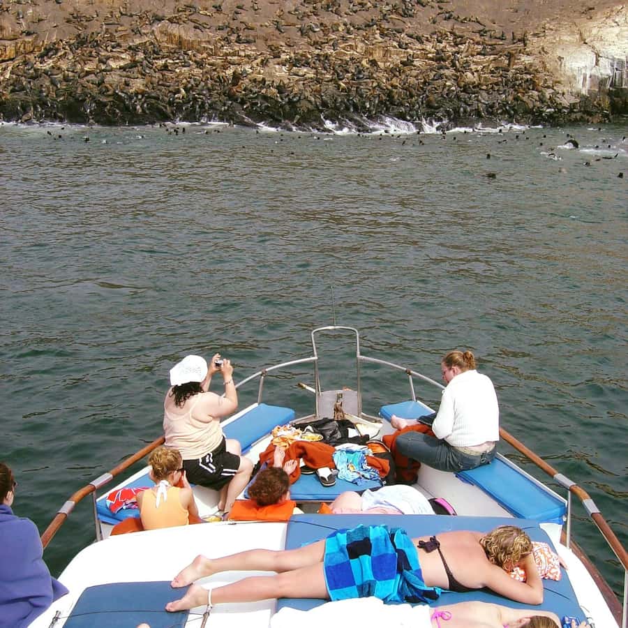 Palomino Islands Yacht Tour and swim alongside the sea lions - Your San Lorenzo Island stop: guided time, photo moments, and why it’s more than a break