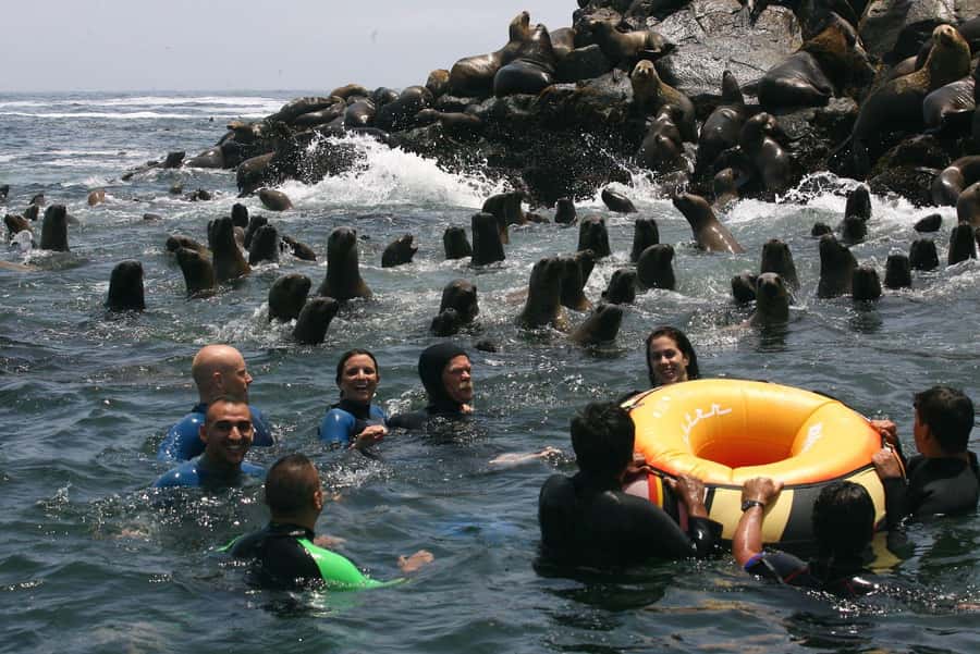 Palomino Islands Yacht Tour and swim alongside the sea lions - Getting to Plaza Grau: pickup times and the 45-minute route that sets expectations
