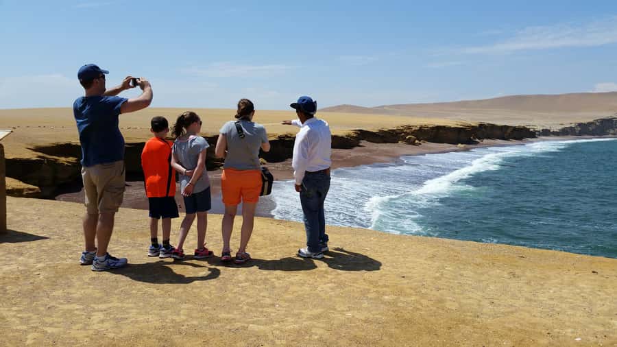 Paracas: Ballestas Island & Nature Reserve all inclusive - Ballestas Islands by speedboat: your wildlife game plan