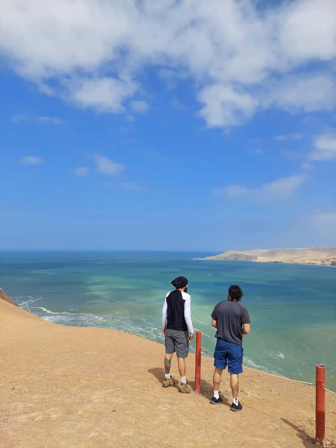Paracas: Ballestas Island & Nature Reserve all inclusive - Paracas Nature Reserve: wetlands, rock formations, and a very photogenic coast