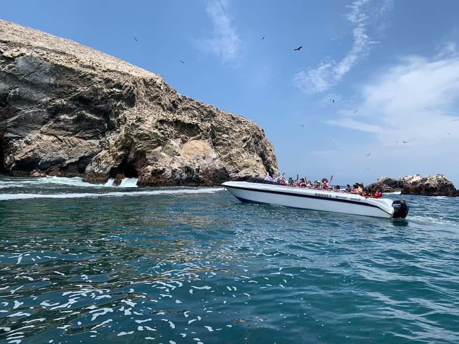 Paracas: Ballestas Island & Nature Reserve all inclusive - Centro de Interpretación: learn the terrain before you look at it
