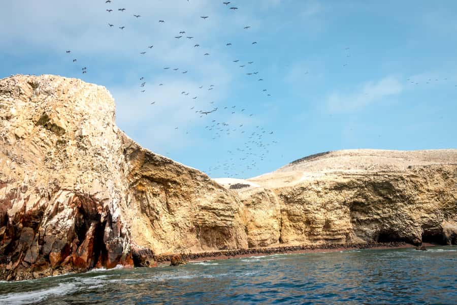 Paracas: Ballestas Island & Nature Reserve all inclusive - Transportation, pacing, and what 330 minutes feels like