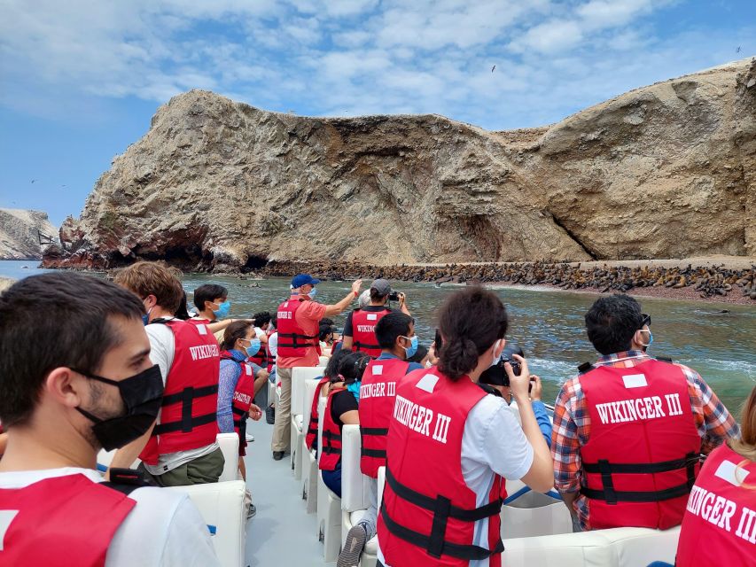 Paracas: Ballestas Island & Nature Reserve all inclusive - Price and value: why $60 can make sense here