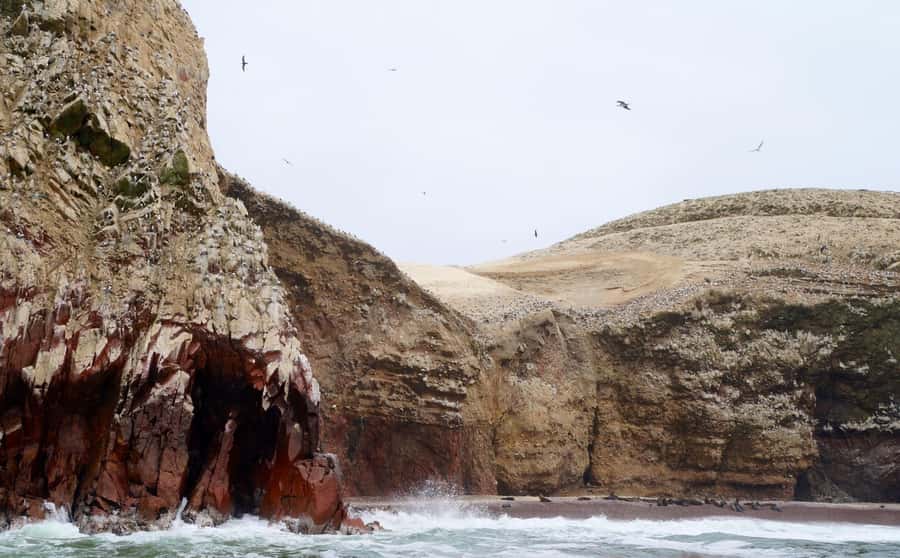 Paracas: Ballestas Islands and Candelabra of Paracas Boat - Key Highlights You’ll Care About