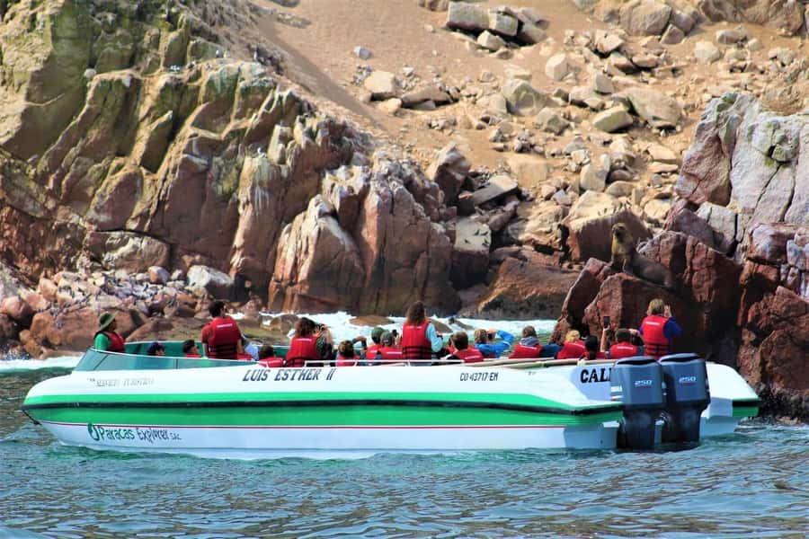 Paracas: Ballestas Islands and Candelabra of Paracas Boat - Getting to the Boat at Paracas Port (and What the First Minutes Feel Like)