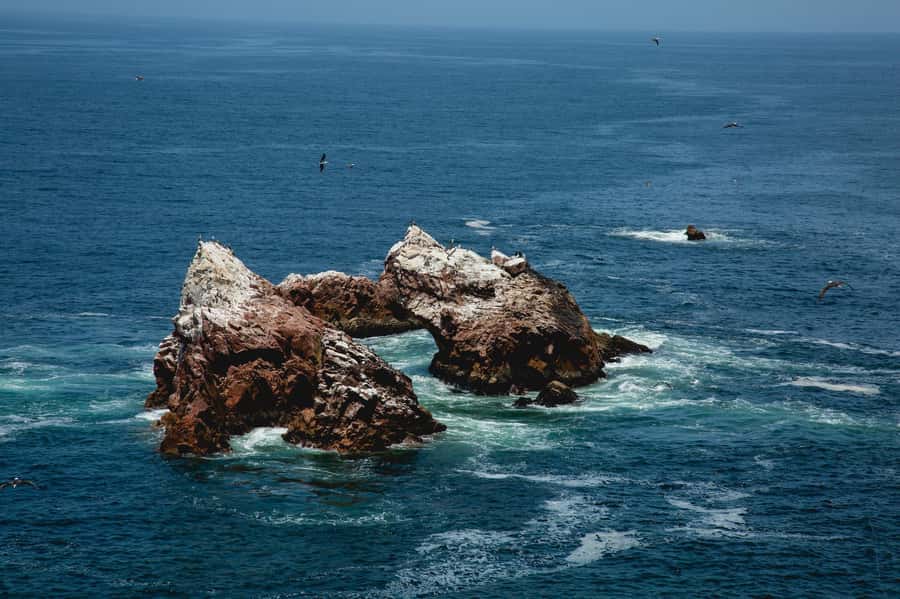 Paracas: Ballestas Islands and Candelabra of Paracas Boat - How Much Value You Actually Get for the Price