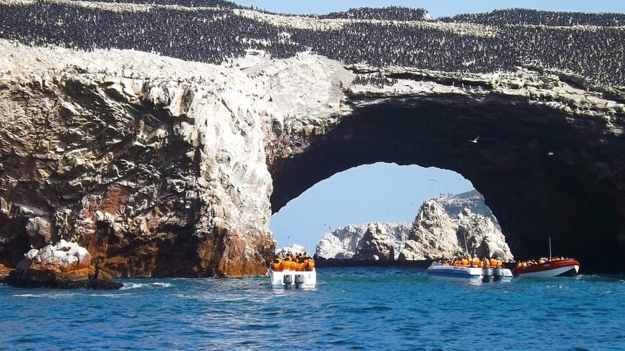 Paracas: Ballestas Islands Boat tour - Islas Ballestas - Price and Value: Is $35 a Fair Deal in Paracas?