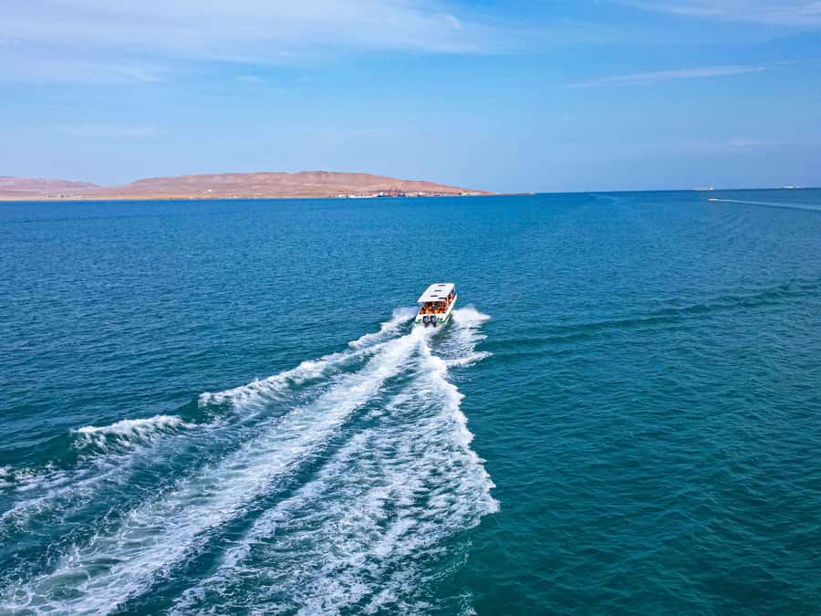 Paracas: Ballestas Islands Guided Boat Tour - Who should book this Ballestas Islands guided boat tour?