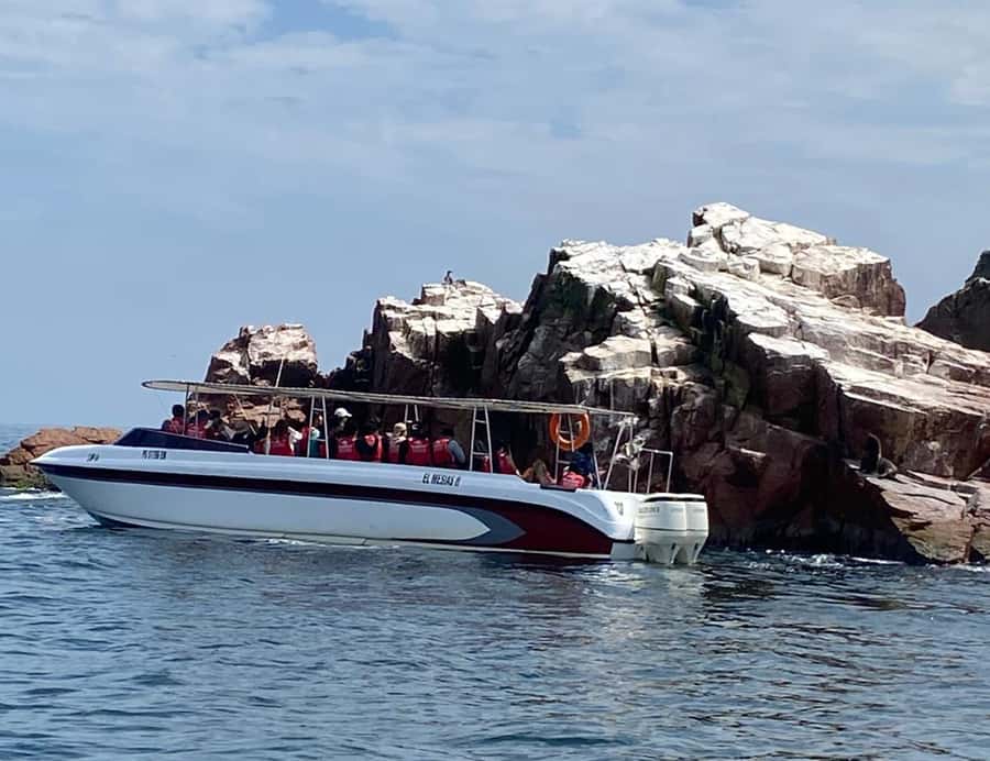 Paracas: Ballestas Islands Morning Boat Tour - What to Bring (and What to Skip) for a Smooth Trip