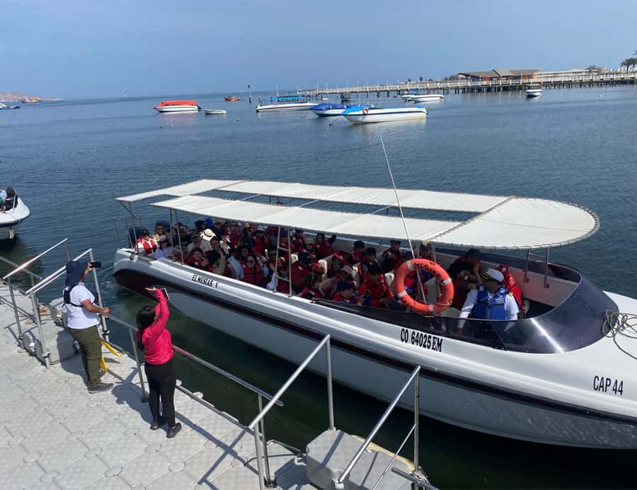 Paracas: Ballestas Islands Morning Boat Tour - Morning Speedboat to Ballestas: Why This Trip Works