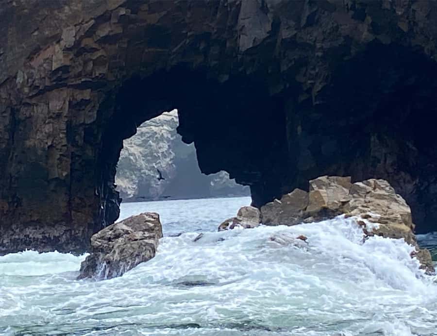 Paracas: Ballestas Islands Morning Boat Tour - Ballestas Islands Cruise: How to Spot Penguins, Sea Lions, and Birds