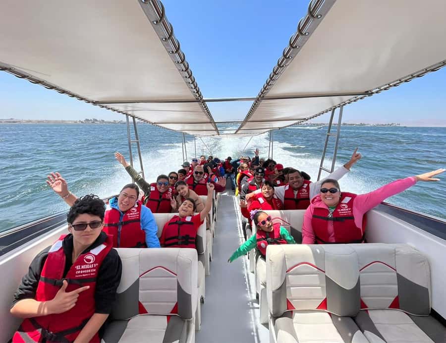 Paracas: Ballestas Islands Morning Boat Tour - Seeing Wildlife From the Boat Only: What to Expect (and What It Changes)