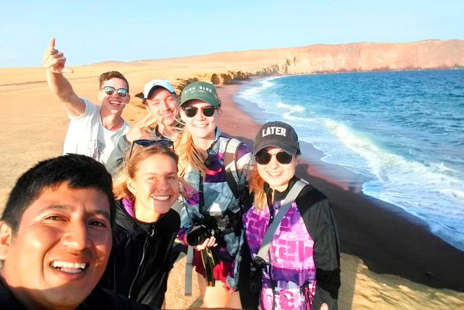 Paracas National Reserve Tour - Flamingos and Cathedral rock: the coast’s living details