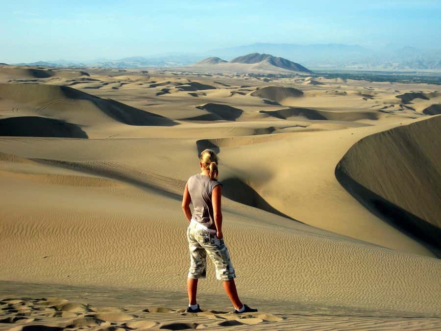 Paracas or Pisco: Private Huacachina Oasis Tour & Buggy Ride - Huacachina oasis walk: palm trees, lagoon views, and quick orientation