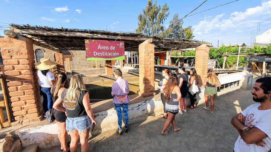 Paracas or Pisco: Private Huacachina Oasis Tour & Buggy Ride - Paracas pickup to Huacachina: what the private part really means