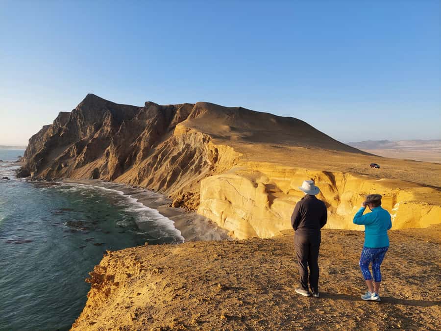 Paracas:Private Tours Paracas National Reserve all inclusive - Key things I’d zero in on