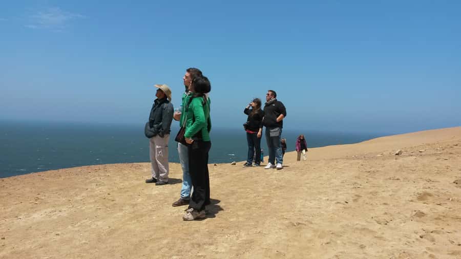 Paracas:Private Tours Paracas National Reserve all inclusive - Flamingos on foot: the quick walk that can steal the show