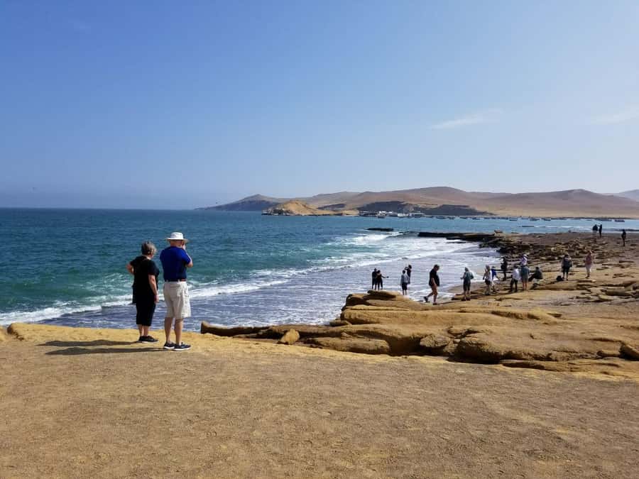 Paracas:Private Tours Paracas National Reserve all inclusive - Lagunillas pink lagoon: salt and microorganisms, not magic