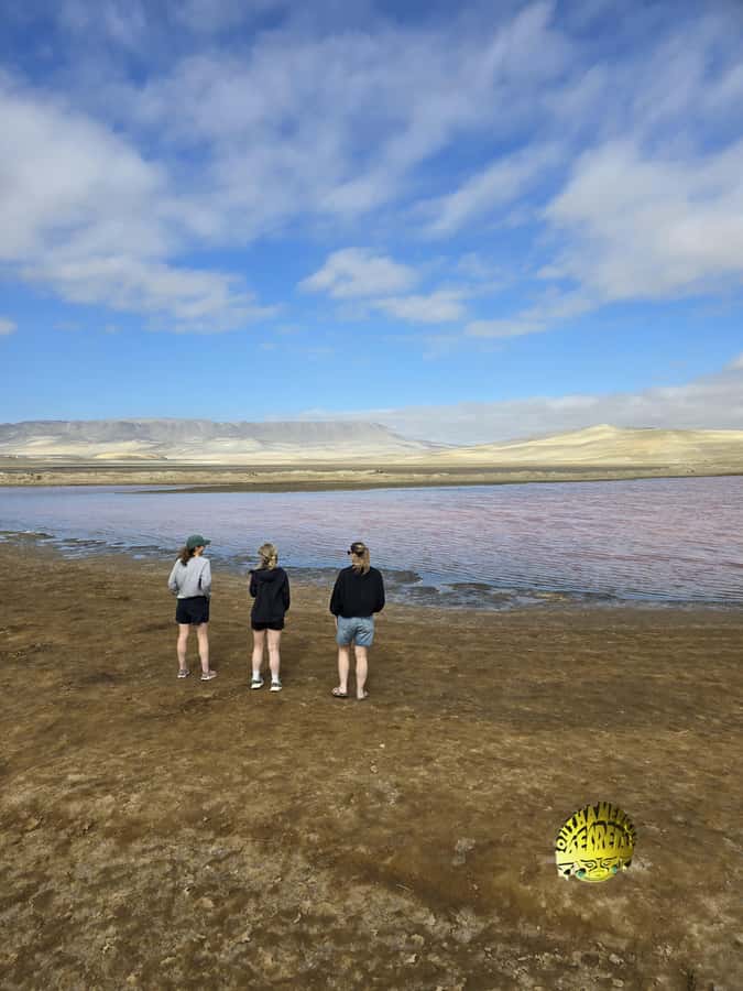 Paracas:Private Tours Paracas National Reserve all inclusive - Timing and what fits in the 3-hour private route