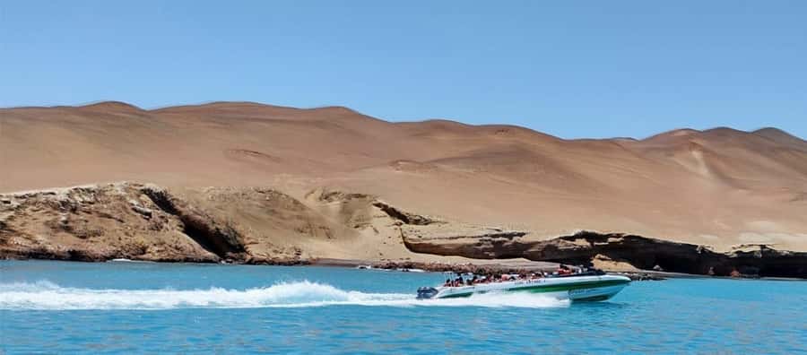Paracas: speedboat BALLESTAS ISLANDS TOUR - Key points to know