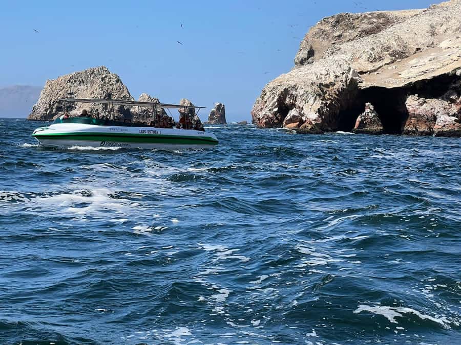 Paracas: speedboat BALLESTAS ISLANDS TOUR - Speedboat to Ballestas: What the 2 Hours Really Gives You