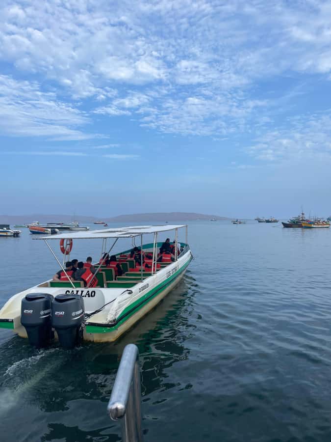 Paracas: speedboat BALLESTAS ISLANDS TOUR - Booking checklist before you go