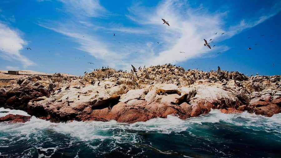 PARACAS|| Sunset trekking in the Paracas National Reserve - The 1 hour 15 minute cliff and beach walk